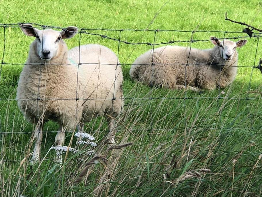 Вилла Cosy Farmhouse Escape In Monmouthshire Wolves Newton Экстерьер фото